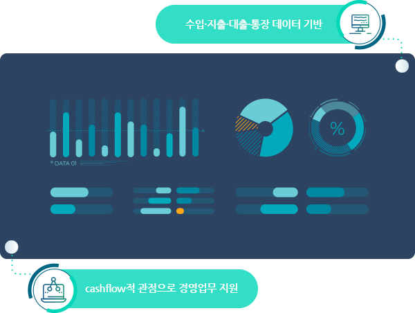 수입지출대출통장 데이터 기반 CashFlow적 고나점으로 경영업무 지원